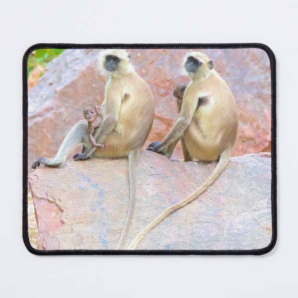 Item preview, leaf monkey, langur, jungle, wildlife, tigers, india, rajasthan, india, ranthambore, wildcats, forest designed and sold by WabiSabi-Photos.
