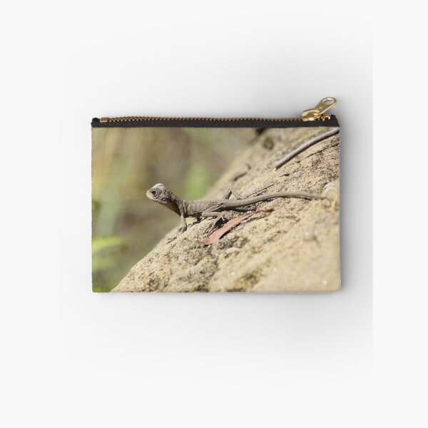 Item preview, Eastern Water Dragon youngster designed and sold by Jerry Tingle - photofirst.