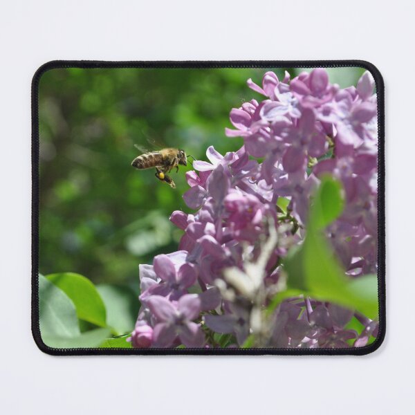 Item preview, Miel de abeja en las lilas designed and sold by KristaHowson.