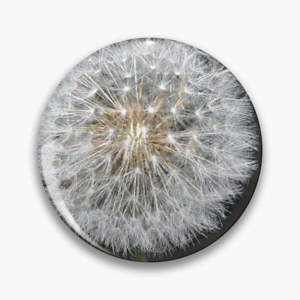 Item preview, Dandelion ready for a breeze designed and sold by KristaHowson.