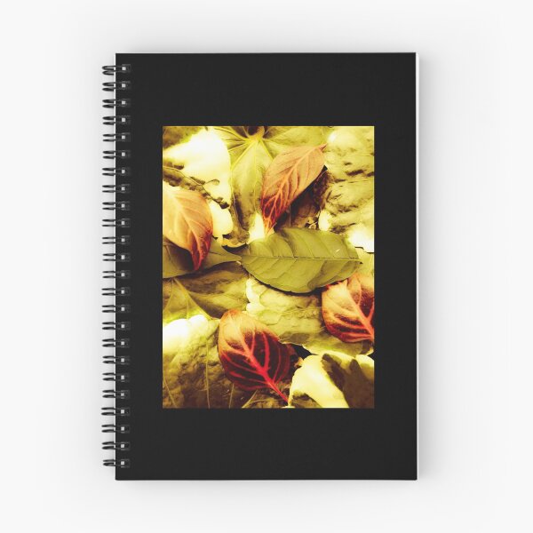 Item preview, regan oneill               designed and sold by SarahVancer.