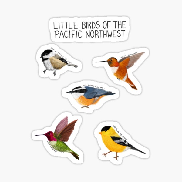 Item preview, Little Birds of the Pacific Northwest designed and sold by Fernheart Designs.