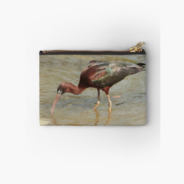 Item preview, Glossy Ibis designed and sold by Robert Abraham.