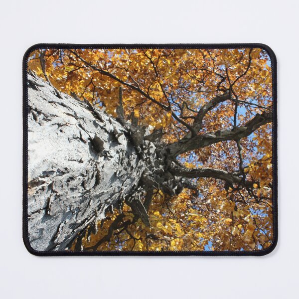 Item preview, Trunk View designed and sold by Susie Kramer.