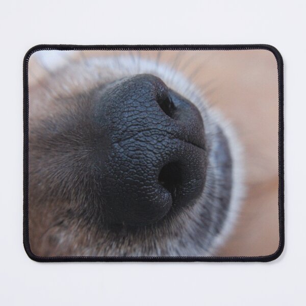 Item preview, Eddie's Nose designed and sold by Susie Kramer.