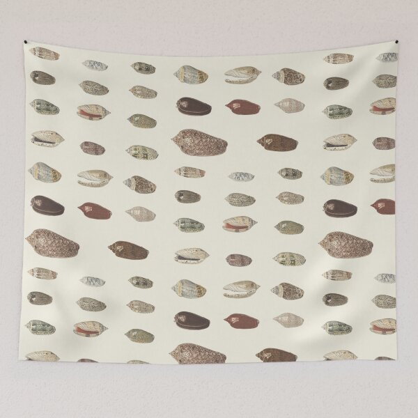 Item preview, Vintage Tropical Sea Shells designed and sold by wakingupvintage.