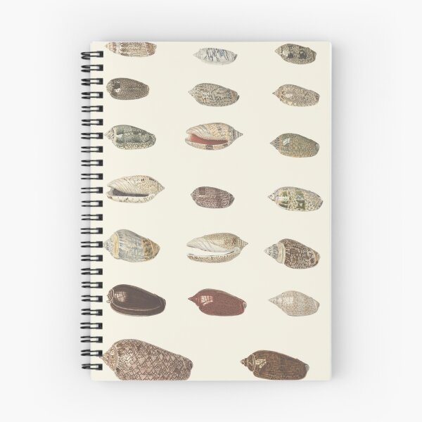Item preview, Vintage Tropical Sea Shells designed and sold by wakingupvintage.