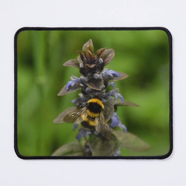 Item preview, Golden Winged Bee designed and sold by picology.