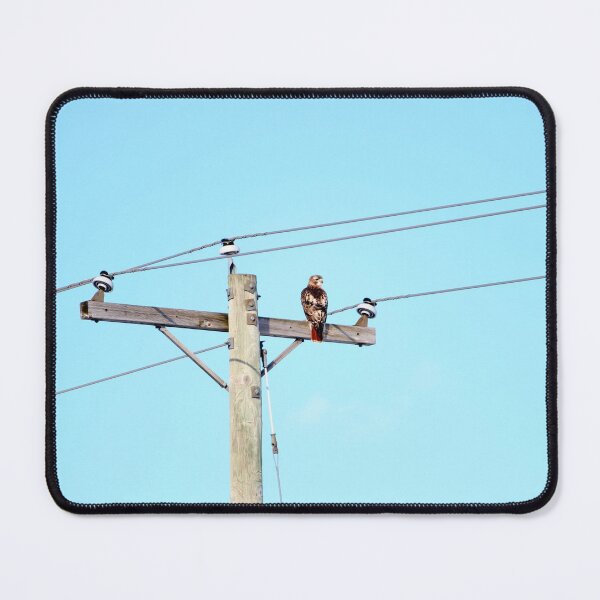 Item preview, Red Tailed Hawk on Pole designed and sold by Susie Kramer.