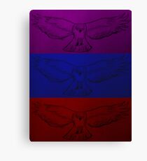 We Are Hawks Canvas Print