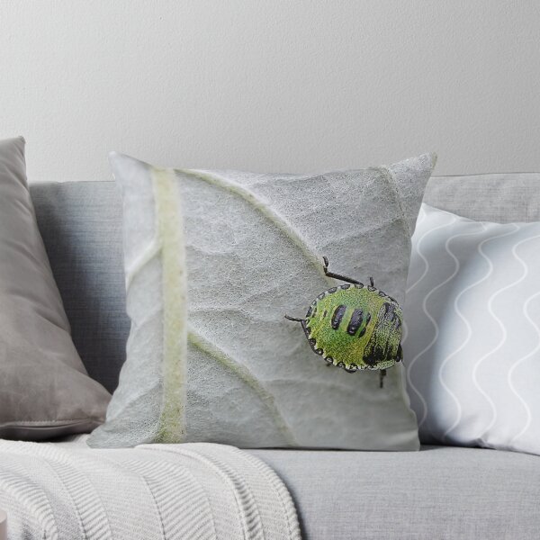 Item preview, Shield Bug designed and sold by relayer51.