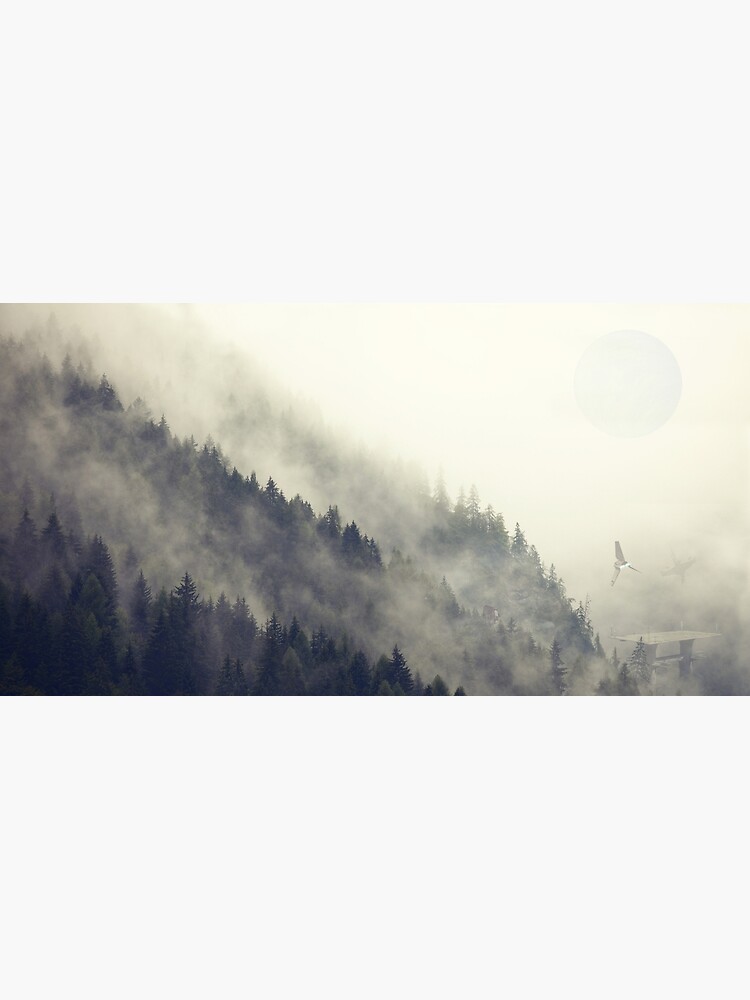 Forest Moon by andywynn
