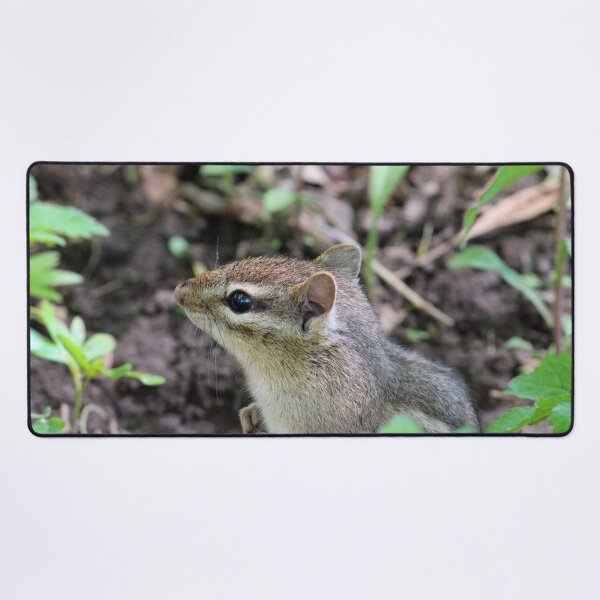 Item preview, Cute Little Chipmunk in the Forest designed and sold by Susie Kramer.