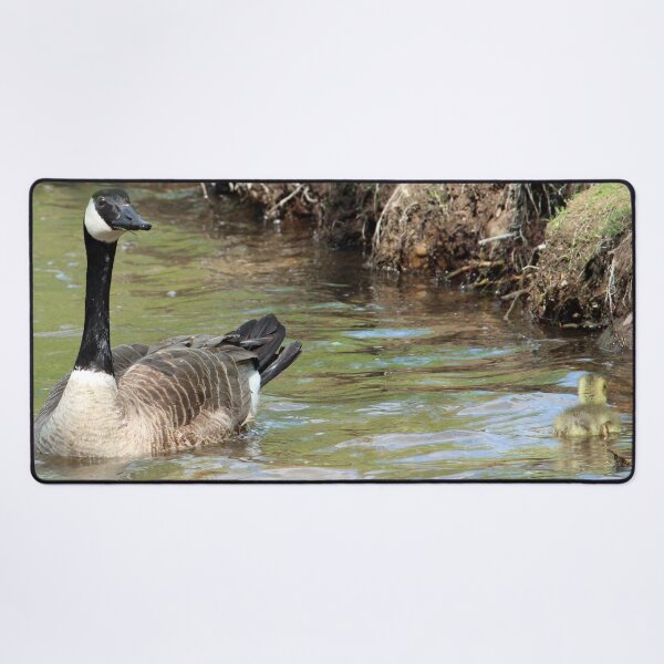 Item preview, Goose and Gosling designed and sold by Susie Kramer.