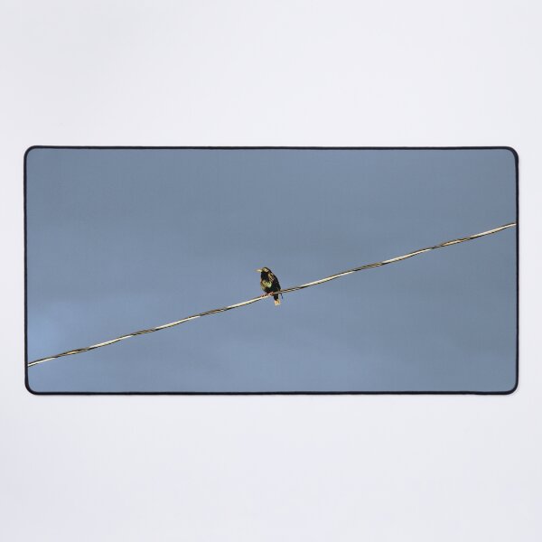 Item preview, Bird on a Wire designed and sold by Susie Kramer.