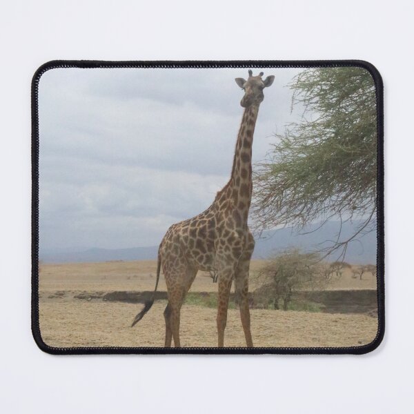 Item preview, Africa, Tanzania, Serengeti NP, Animals, Giraffe, Photography, BebiCervin designed and sold by BebiCervin.
