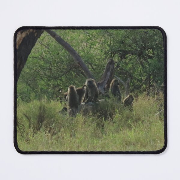 Item preview, Africa, Tanzania, Animals, Monkeys, Nature, Photography, BebiCervin designed and sold by BebiCervin.