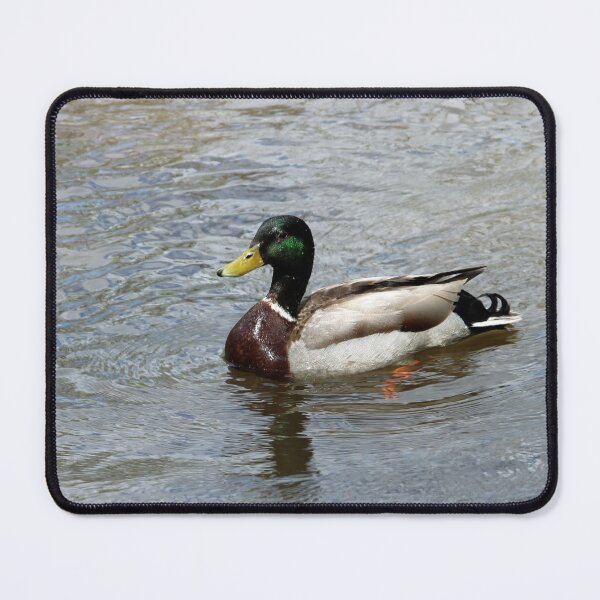 Item preview, Drake Mallard Duck designed and sold by Susie Kramer.