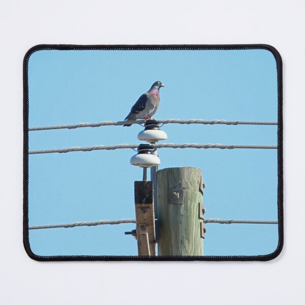 Item preview, Pigeon on a Pole designed and sold by Susie Kramer.