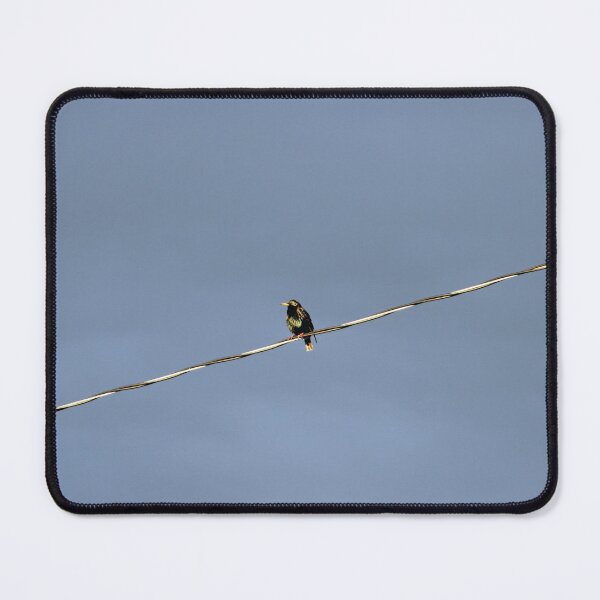 Item preview, Bird on a Wire designed and sold by Susie Kramer.