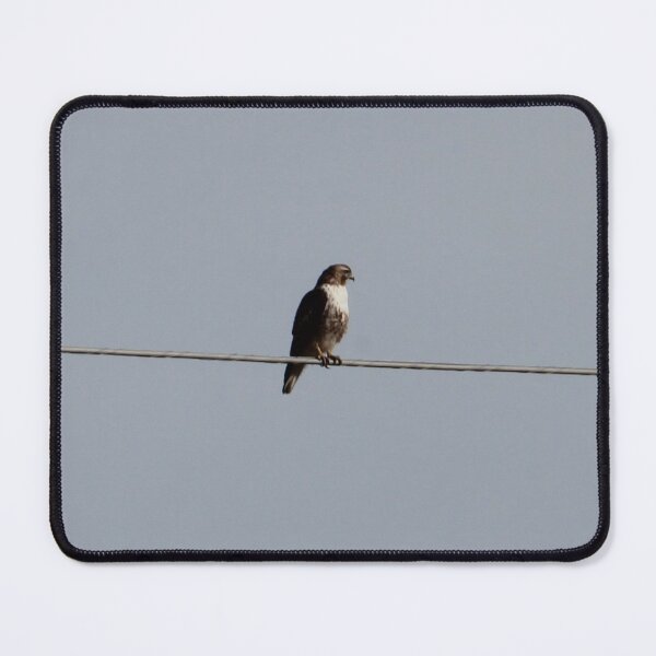 Item preview, Hawk designed and sold by Susie Kramer.
