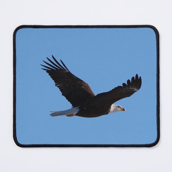 Item preview, American Bald Eagle designed and sold by Susie Kramer.