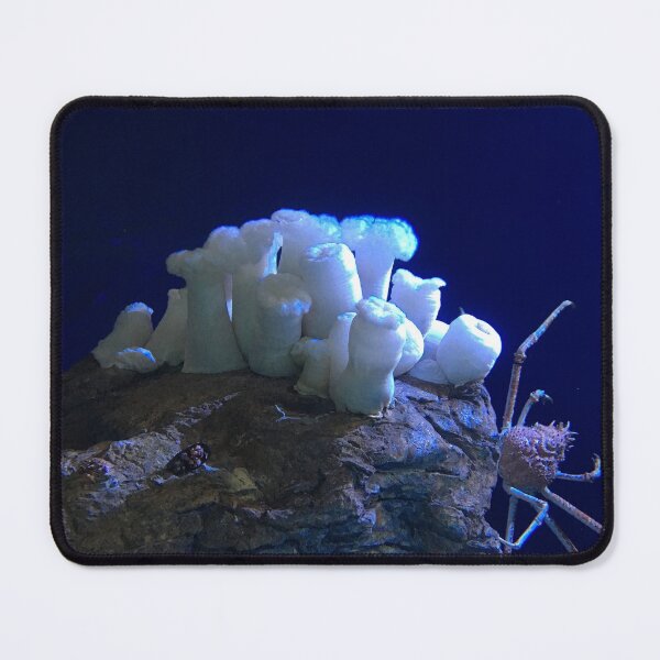 Item preview, White Anemone and Crab designed and sold by Taranodongirl7.