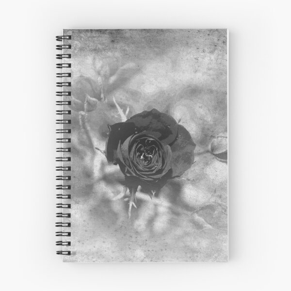 Item preview, black rose 02 designed and sold by paul gavin.