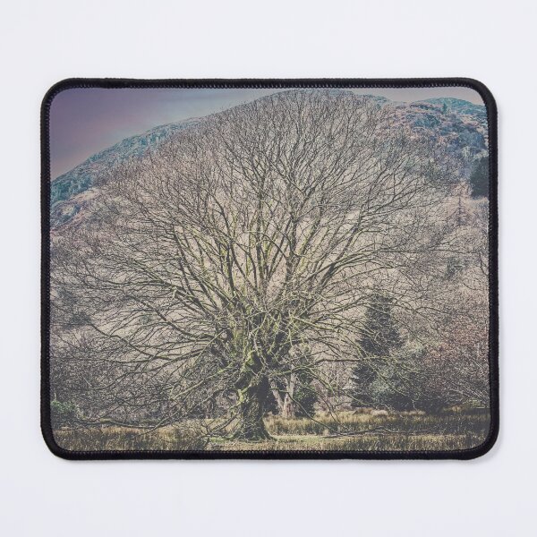 Item preview, The Tree and The Mountain designed and sold by PictureThisYT.