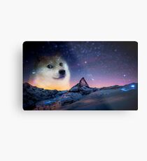 Doge sky Metal Print