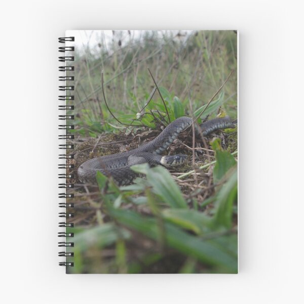 Item preview, Barred grass snake designed and sold by Steven Allain.