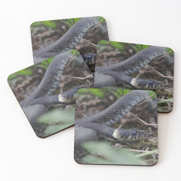 Item preview, Barred grass snake designed and sold by Steven Allain.