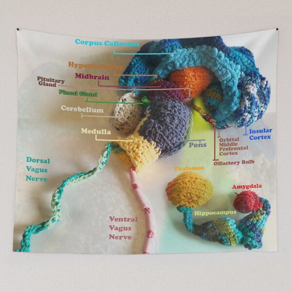 Item preview, Brain Anatomy  designed and sold by Linvizion.