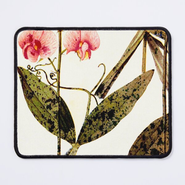 Item preview, pois de senteur/modern sweet peas designed and sold by clemfloral.
