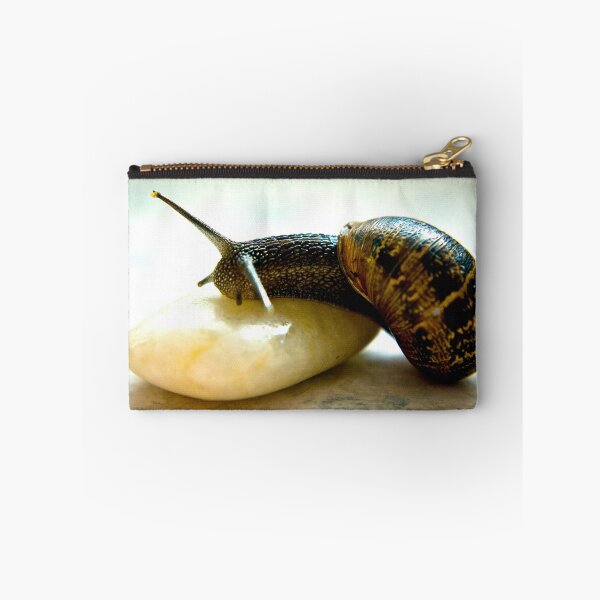 Item preview, Snail #3 designed and sold by Trevor Kersley.