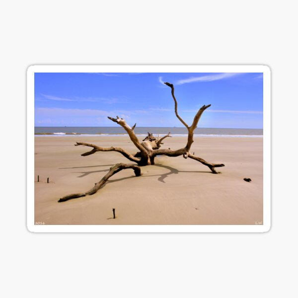 Item preview, Hunting Island Beach Beaufort SC designed and sold by LisaWootenPhoto.
