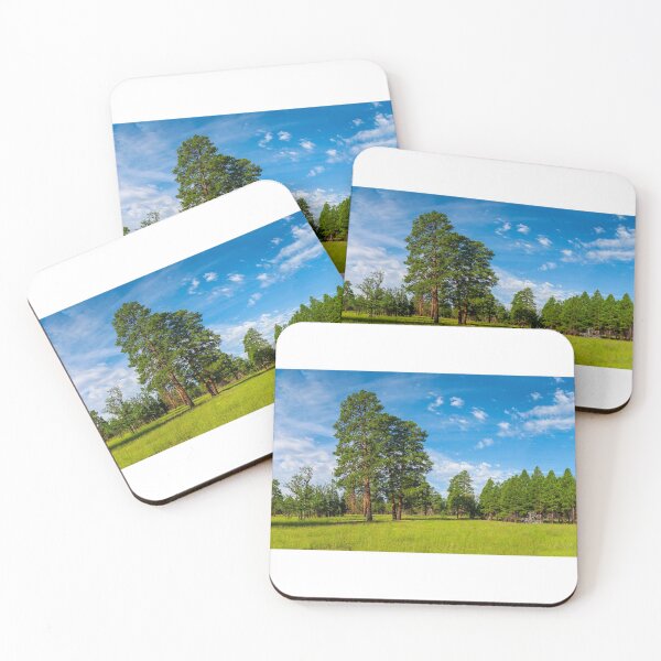 Item preview, Anasazi Meadow on Campbell Mesa designed and sold by Jeff Goulden Photography.