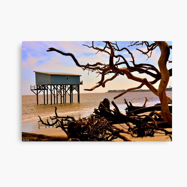 Item preview, Little Blue Hunting Island State Park Beaufort SC designed and sold by LisaWootenPhoto.