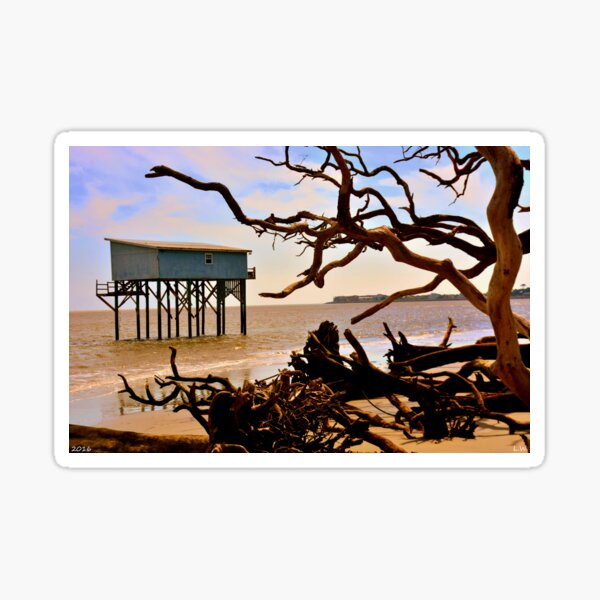 Item preview, Little Blue Hunting Island State Park Beaufort SC designed and sold by LisaWootenPhoto.