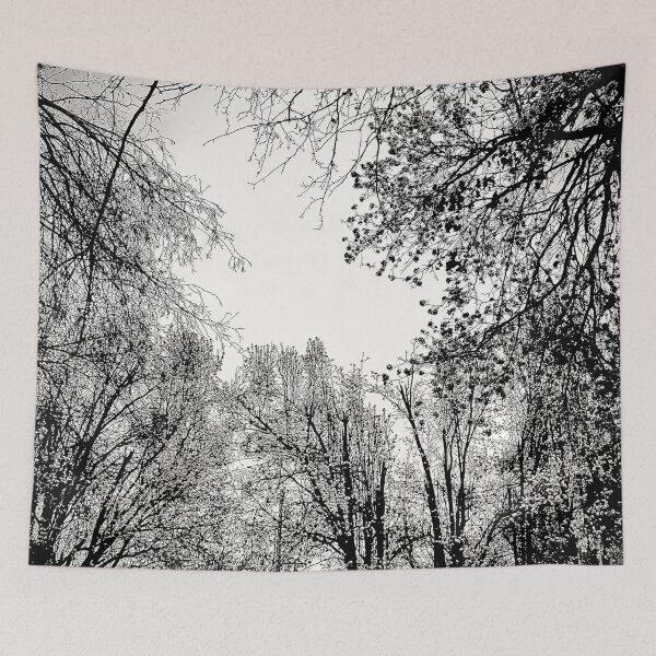 Item preview, Black and white cherry blossom trees designed and sold by Ashsansshop.