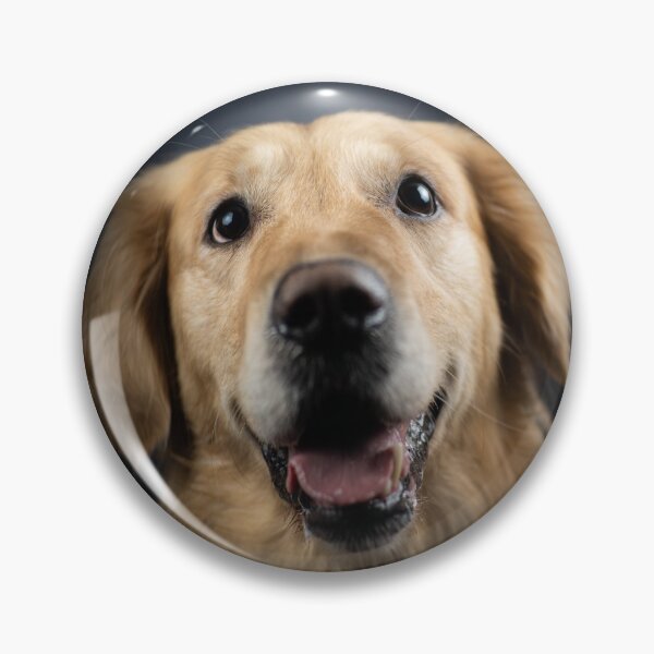 Item preview, Cute Golden Retriever Portrait designed and sold by Konstantin Kowarsch.