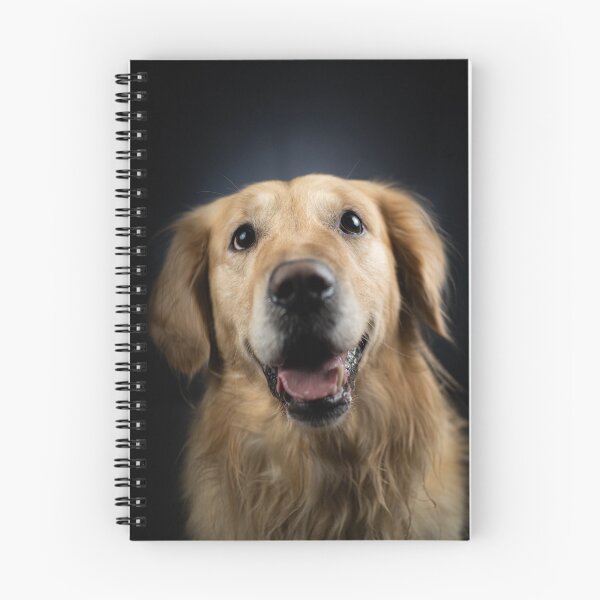 Artikelvorschau, Süßes Golden Retriever-Porträt entworfen und verkauft von Konstantin Kowarsch.