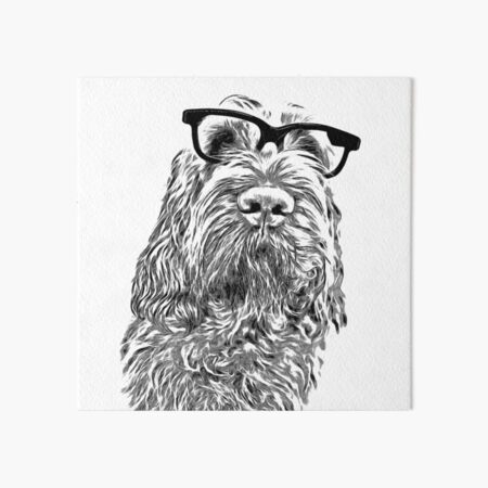 Intelligent friend Spinone Art Board Print