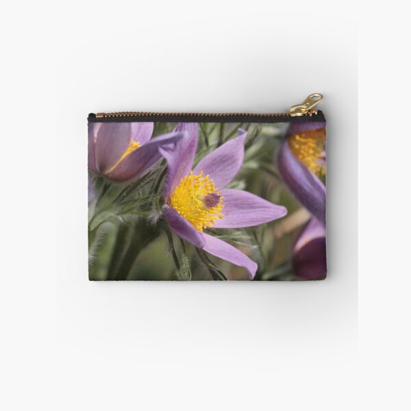 Artikelvorschau, Pasque Flower entworfen und verkauft von Ian Sanders.