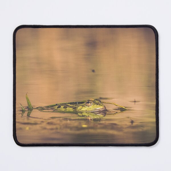 Item preview, Frog in a swamp  designed and sold by Konstantin Kowarsch.