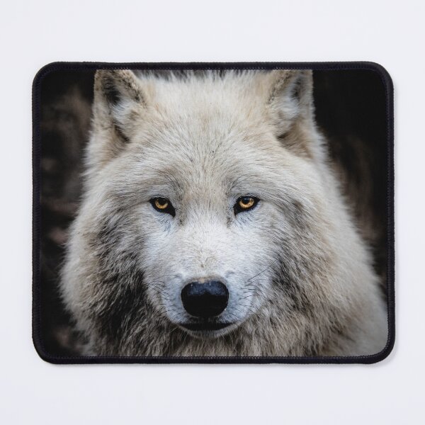 Item preview, Wolf Portrait with orange Eyes Fantasy designed and sold by Konstantin Kowarsch.
