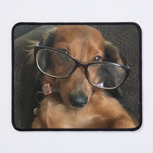 Item preview, Dachshund designed and sold by KimberlyNewsome.