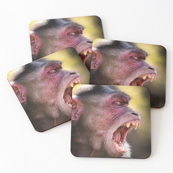 Item preview, A yawning monkey in India designed and sold by Konstantin Kowarsch.