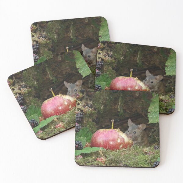 Item preview, Mouse by the brambles with apple  designed and sold by Simon-dell.