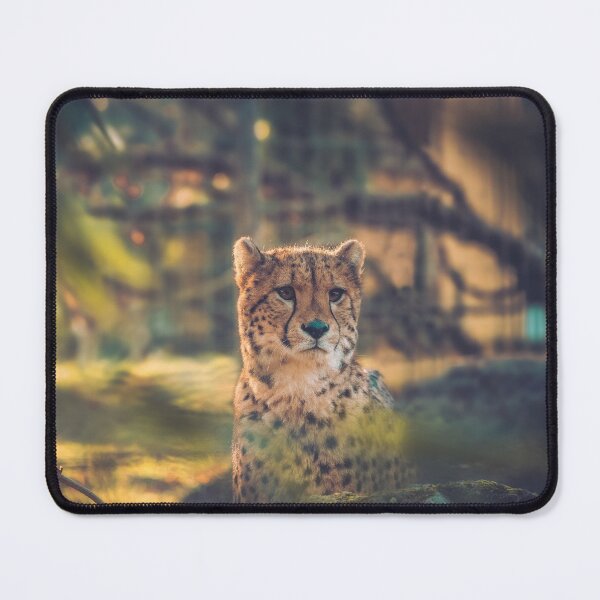 Item preview, A Cheetah in the wilderness designed and sold by Konstantin Kowarsch.